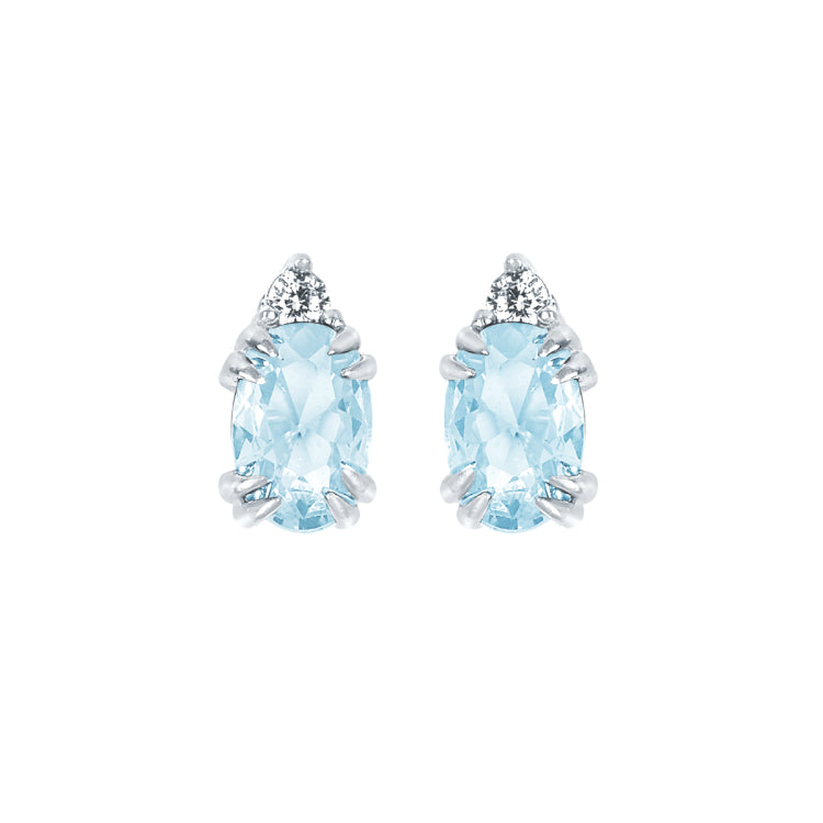 EARRINGS  BR 0.04