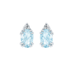 EARRINGS  BR 0.04