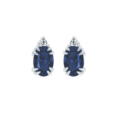 EARRINGS  BR 0.04