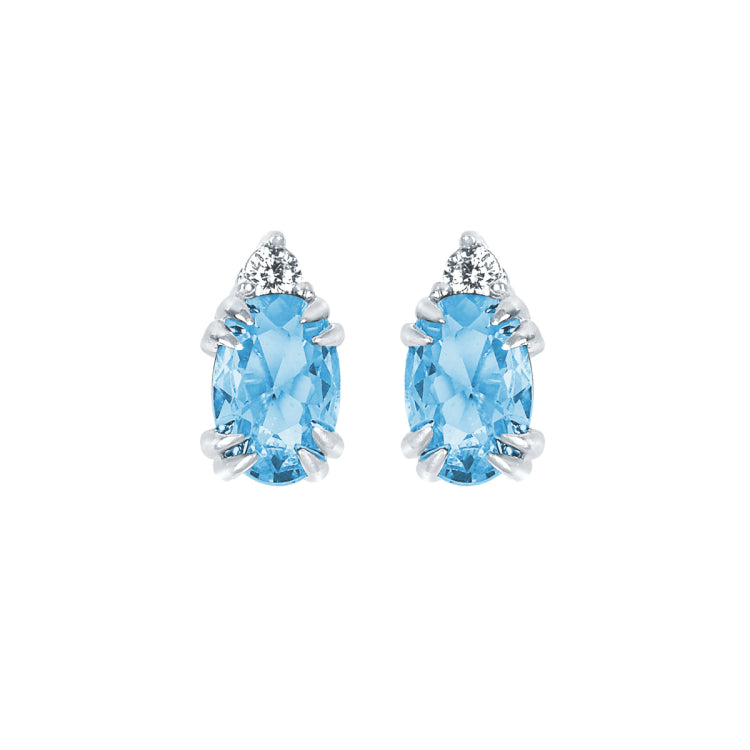 EARRINGS  BR 0.04
