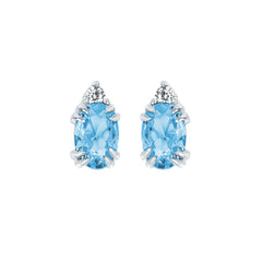 EARRINGS  BR 0.04