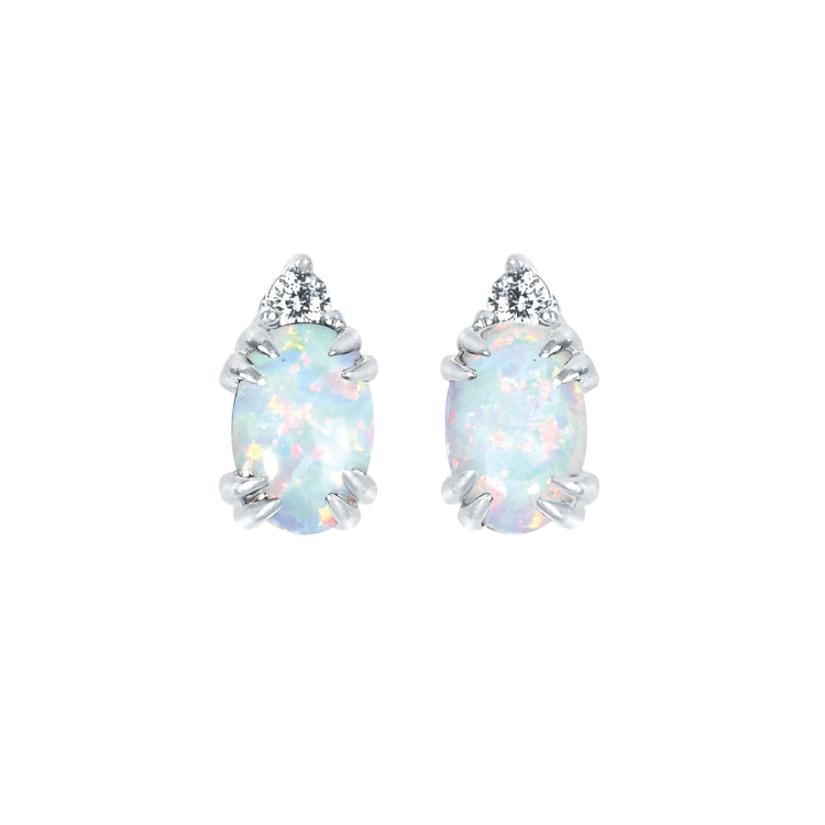 EARRINGS  BR 0.04