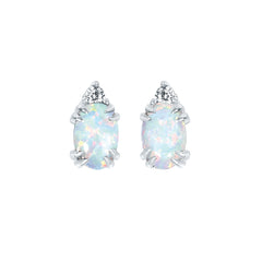 EARRINGS  BR 0.04